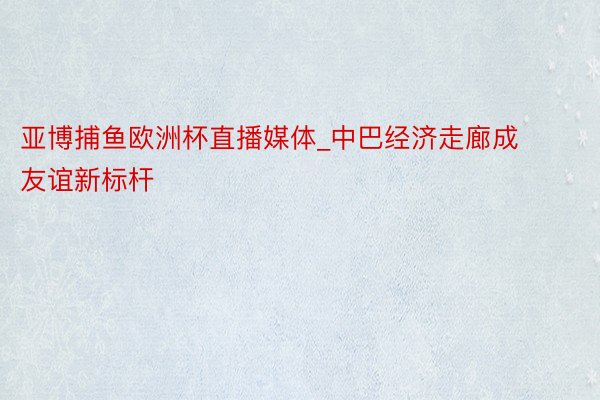 亚博捕鱼欧洲杯直播媒体_中巴经济走廊成友谊新标杆