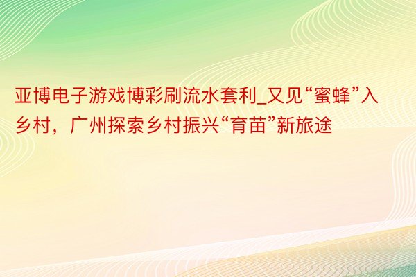 亚博电子游戏博彩刷流水套利_又见“蜜蜂”入乡村，广州探索乡村振兴“育苗”新旅途