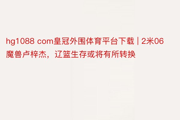 hg1088 com皇冠外围体育平台下载 | 2米06魔兽卢梓杰，辽篮生存或将有所转换