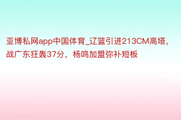 亚博私网app中国体育_辽篮引进213CM高塔，战广东狂轰37分，杨鸣加盟弥补短板