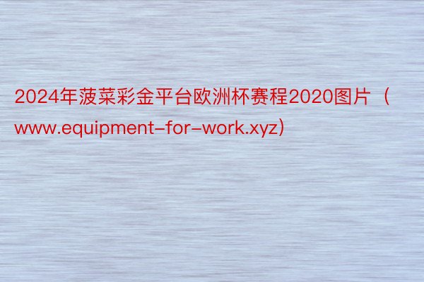 2024年菠菜彩金平台欧洲杯赛程2020图片（www.equipment-for-work.xyz）