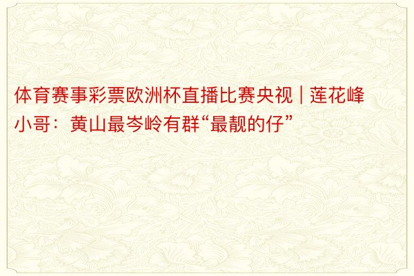 体育赛事彩票欧洲杯直播比赛央视 | 莲花峰小哥：黄山最岑岭有群“最靓的仔”